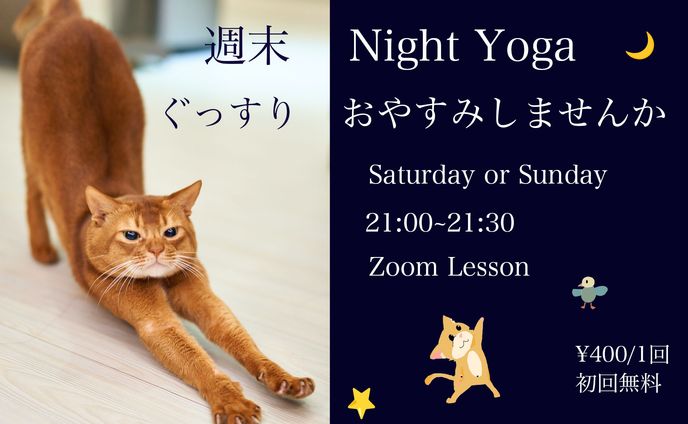 Night Yoga animal