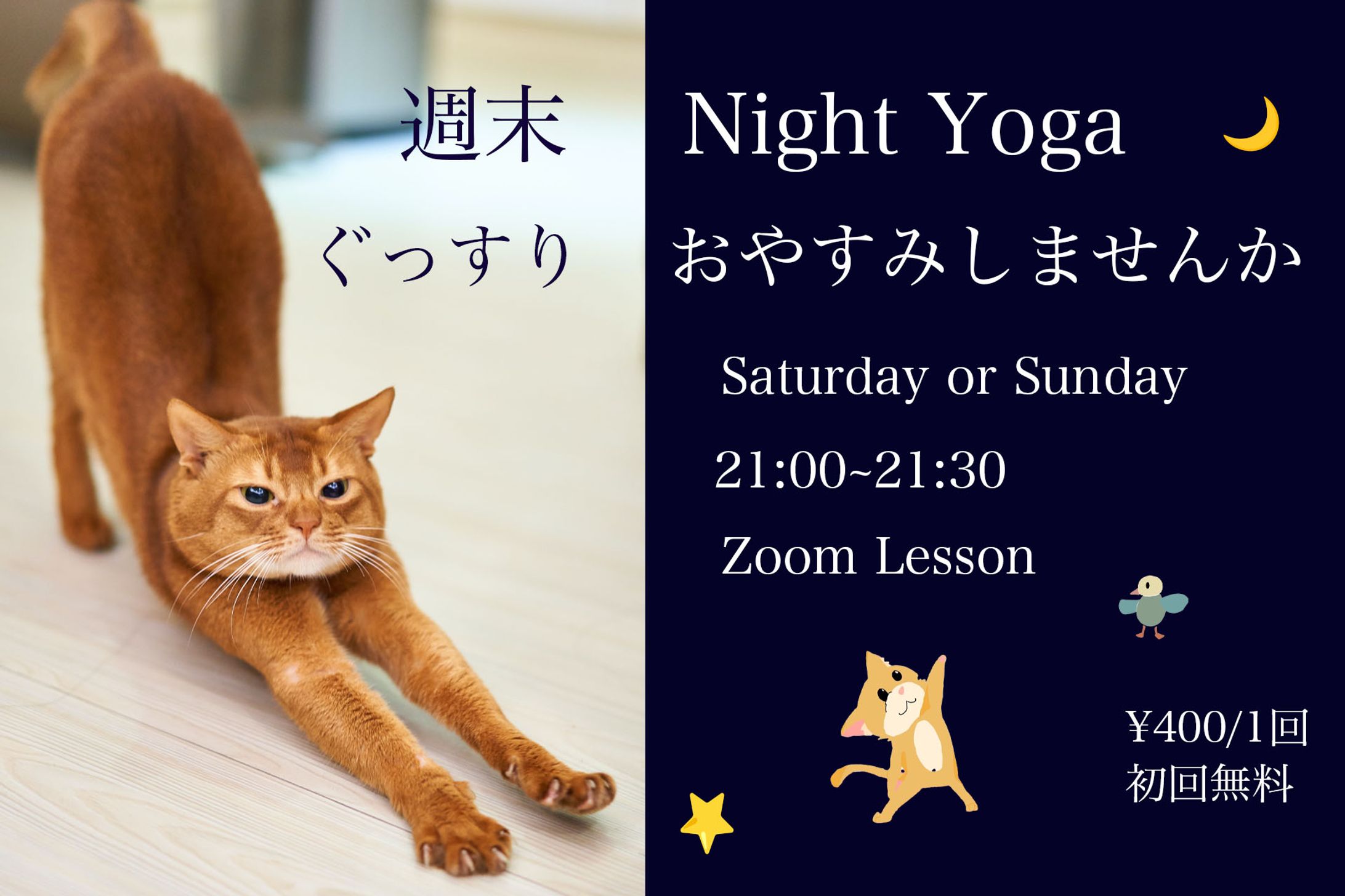 Night Yoga animal-1