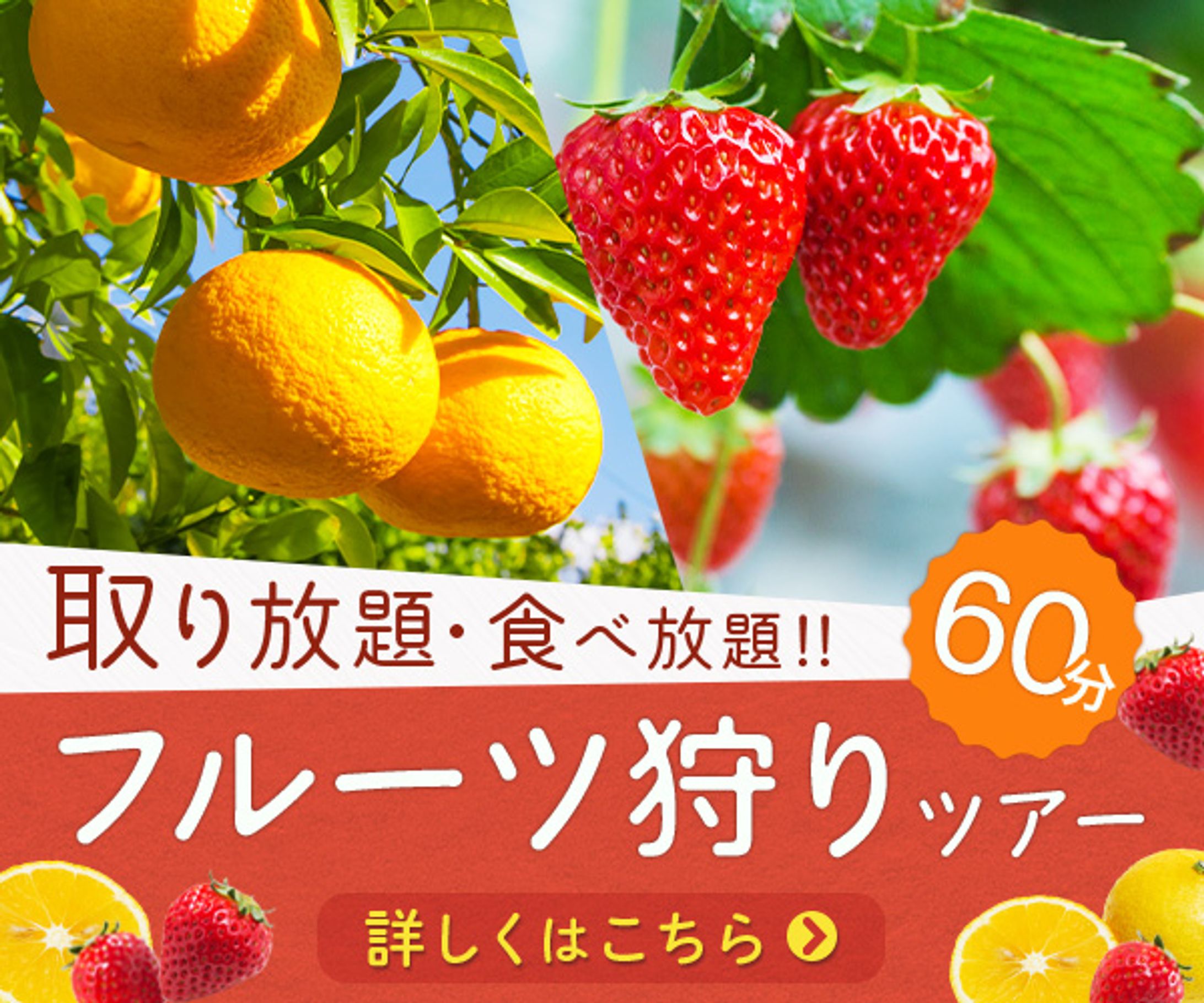 バナー（イベント/春/フルーツ/かわいい）-1