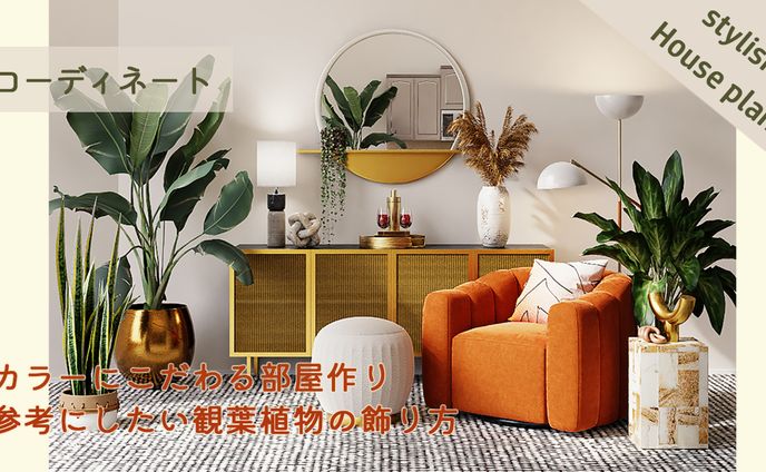 観葉植物