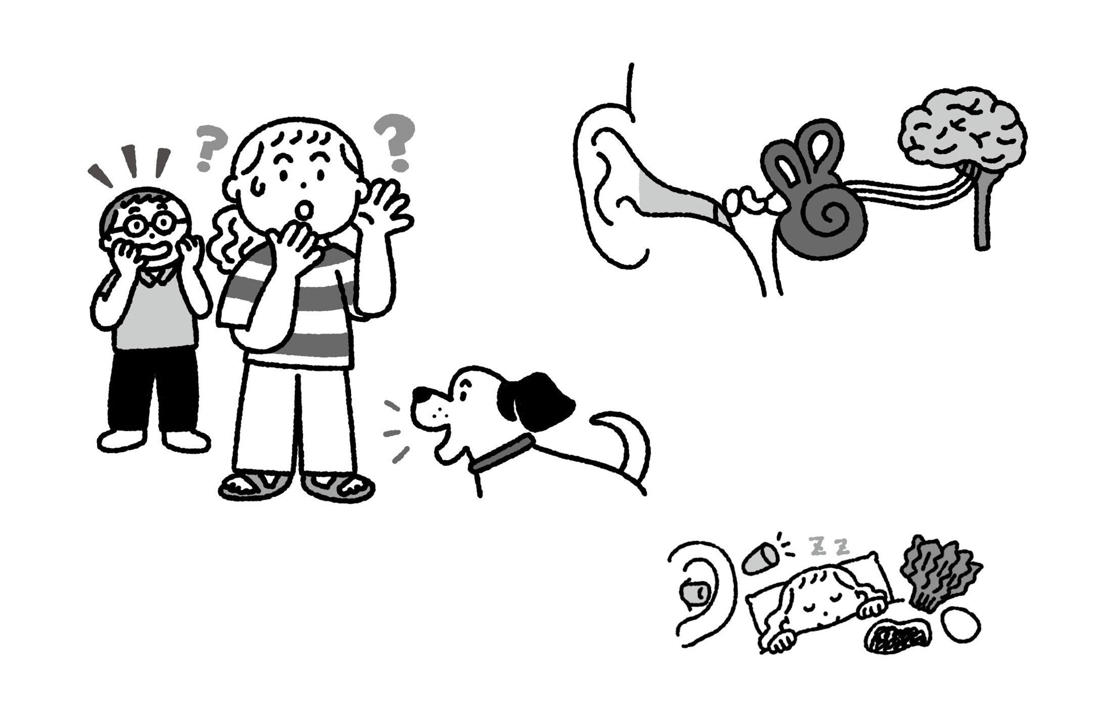 PHPからだスマイル 2023年7月号「難聴は気づかぬうちにやってくる!?」-1