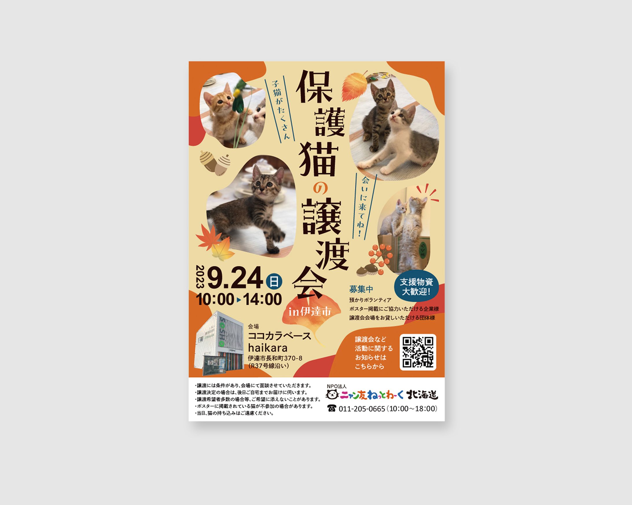【実績】保護猫の譲渡会ポスター（2023年9月24日）-1