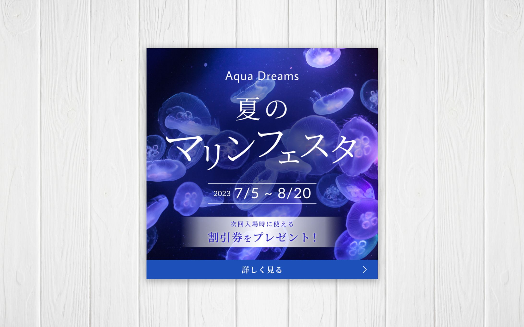 バナー/水族館-1