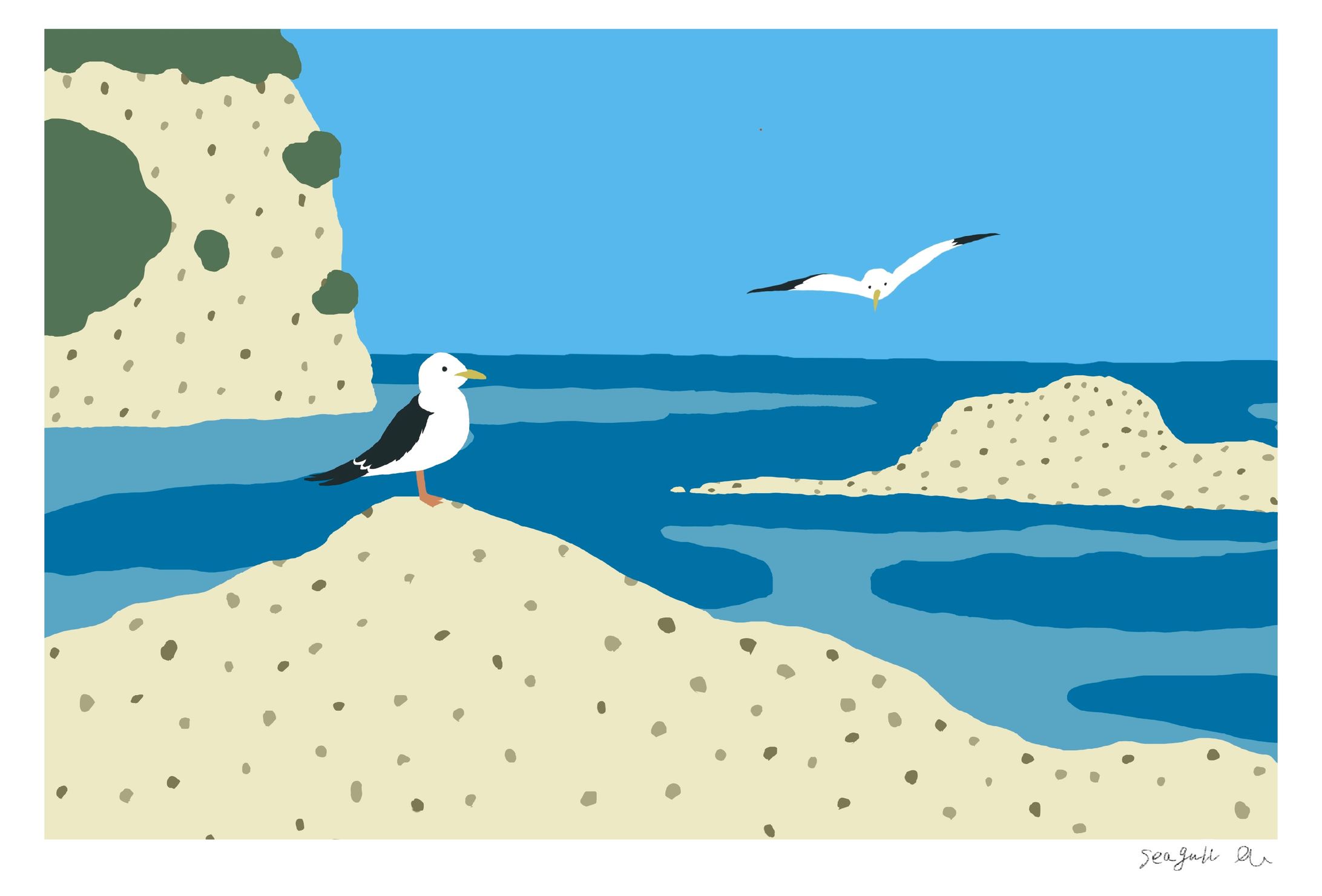 seagull-1