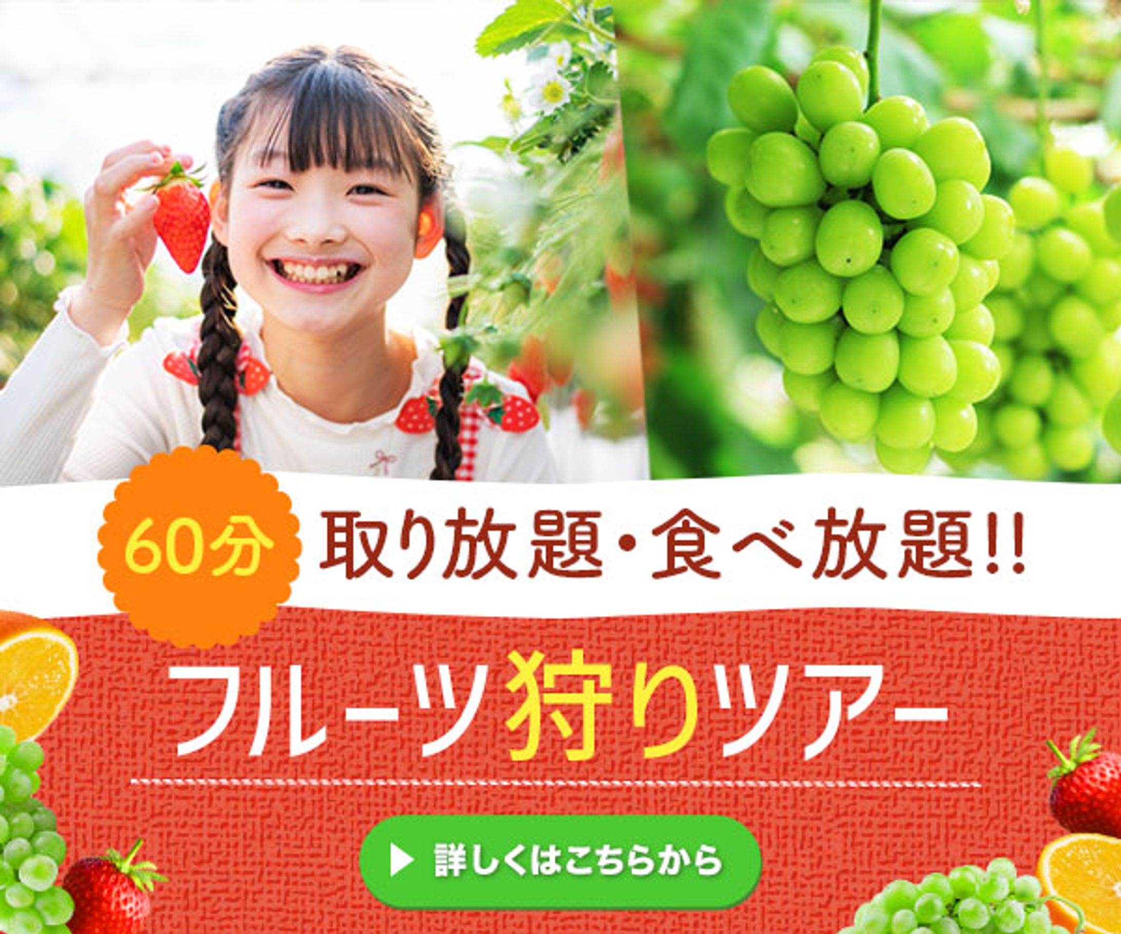 フルーツ狩りツアー-1