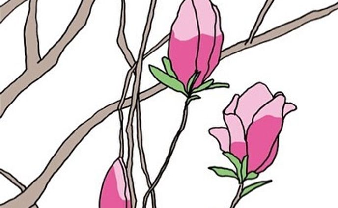 イラストレーター、グラフィックデザイナー、landscape