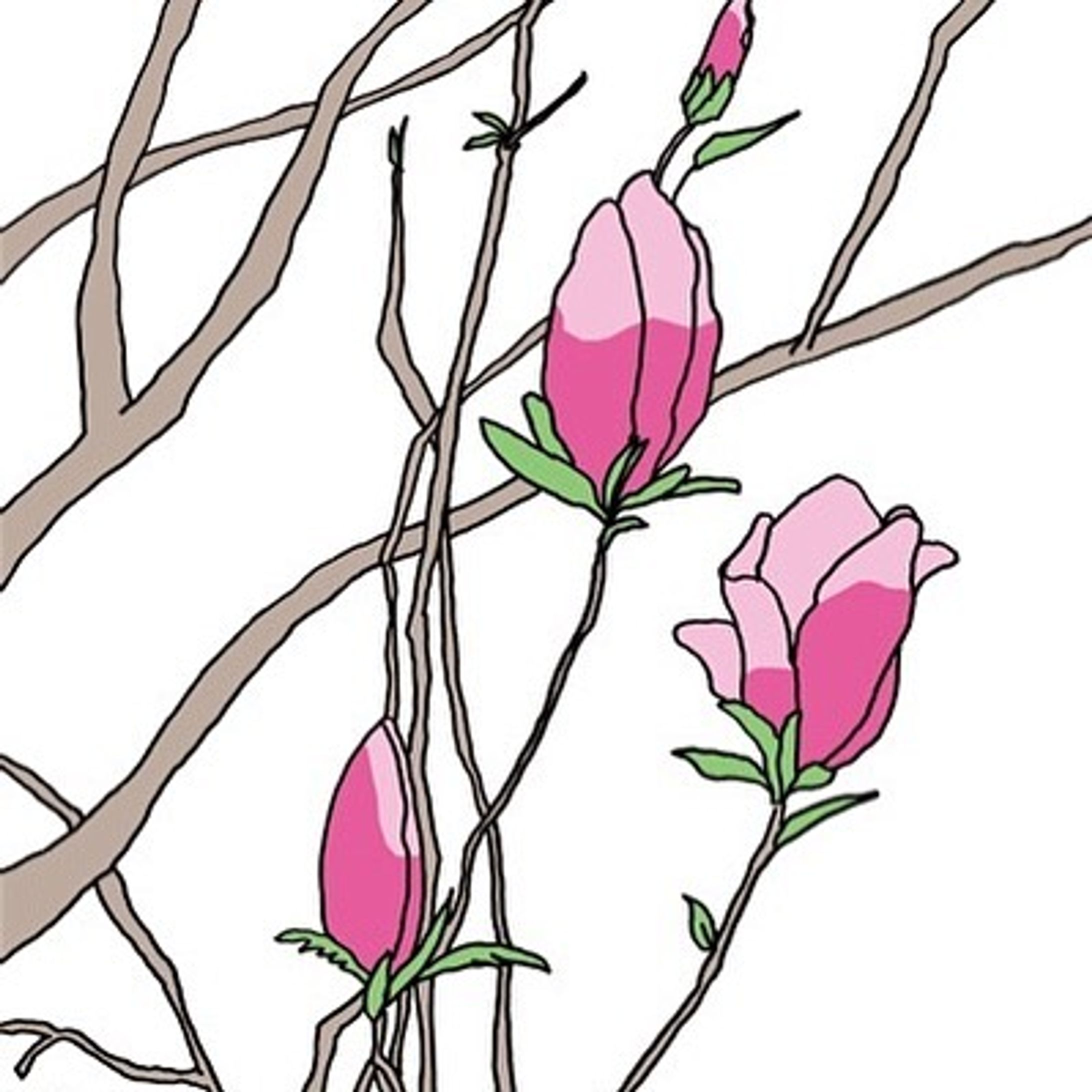 Color Magnolia
..
Be sure to check out the full size illustrations on the website.
..
#illustration #drawing #linedrawing #landscape-1