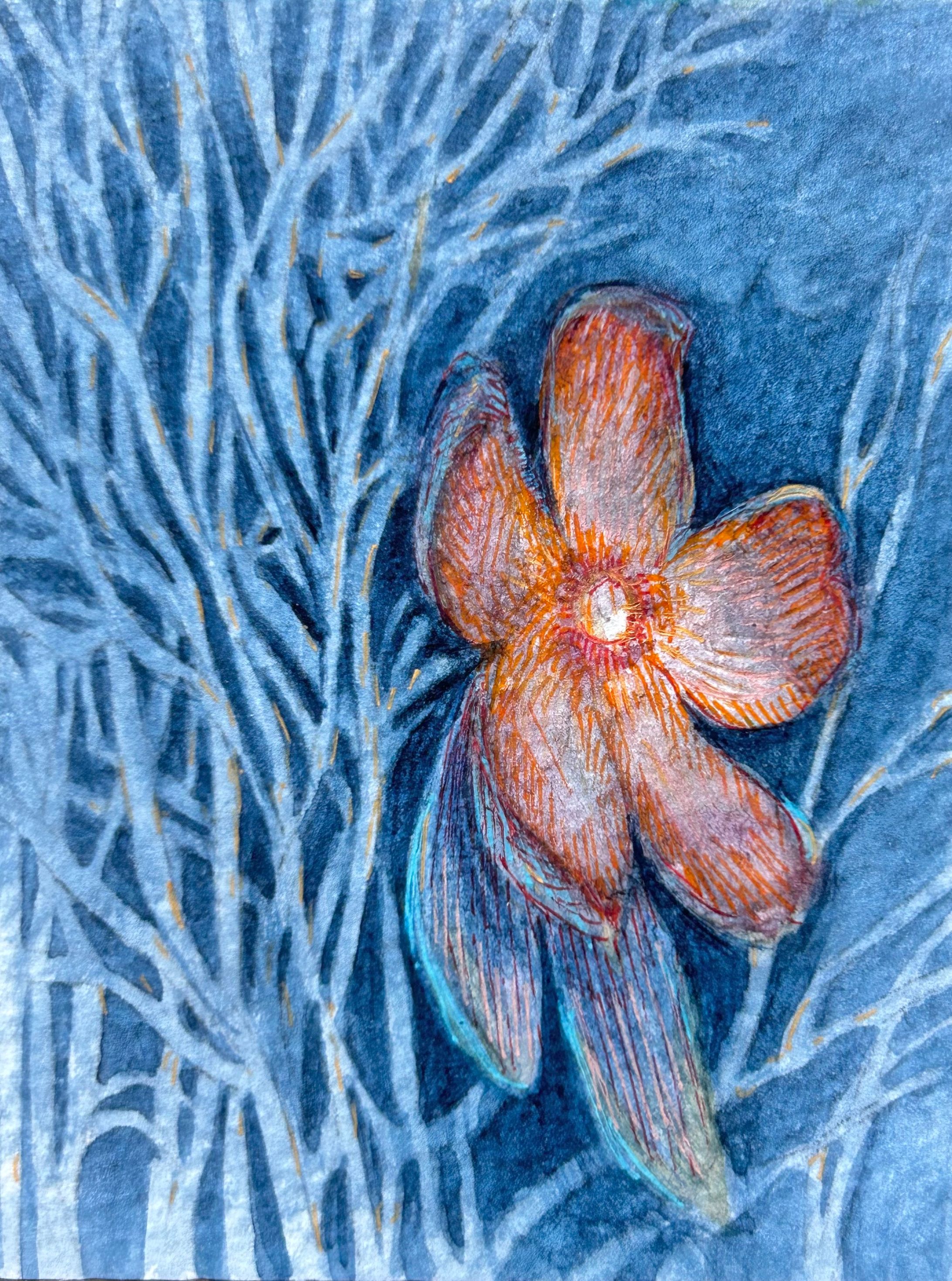 Blume-0   2023.11-1