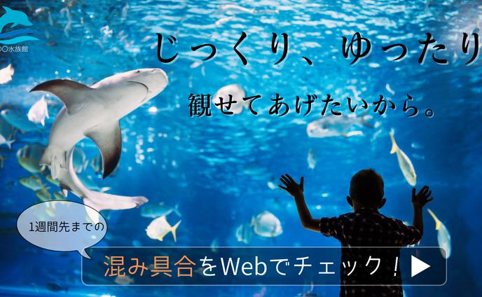 banner - aquarium