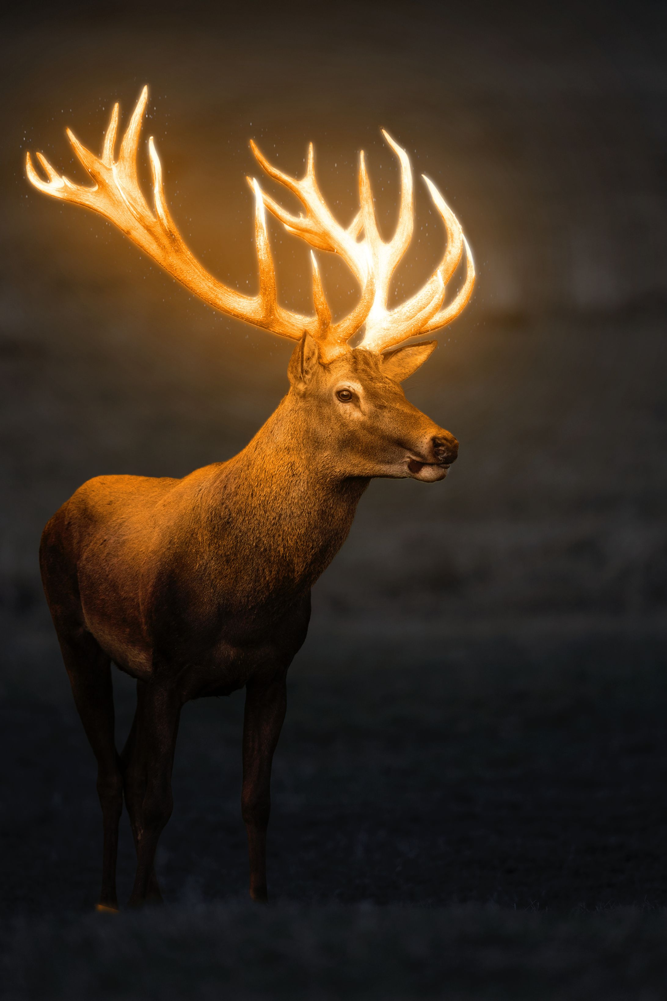 画像合成作品①-1