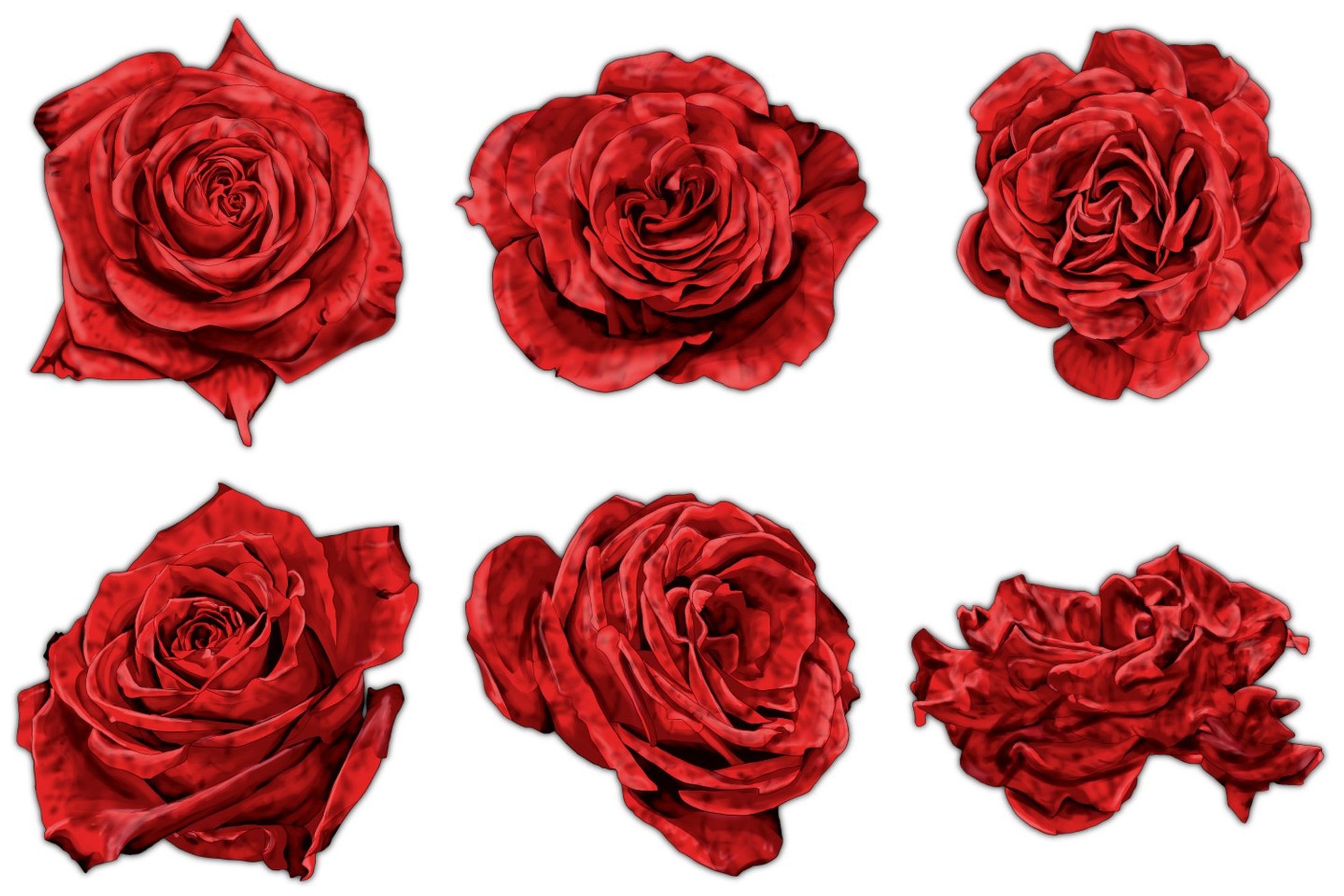 大量生産用薔薇素材-1