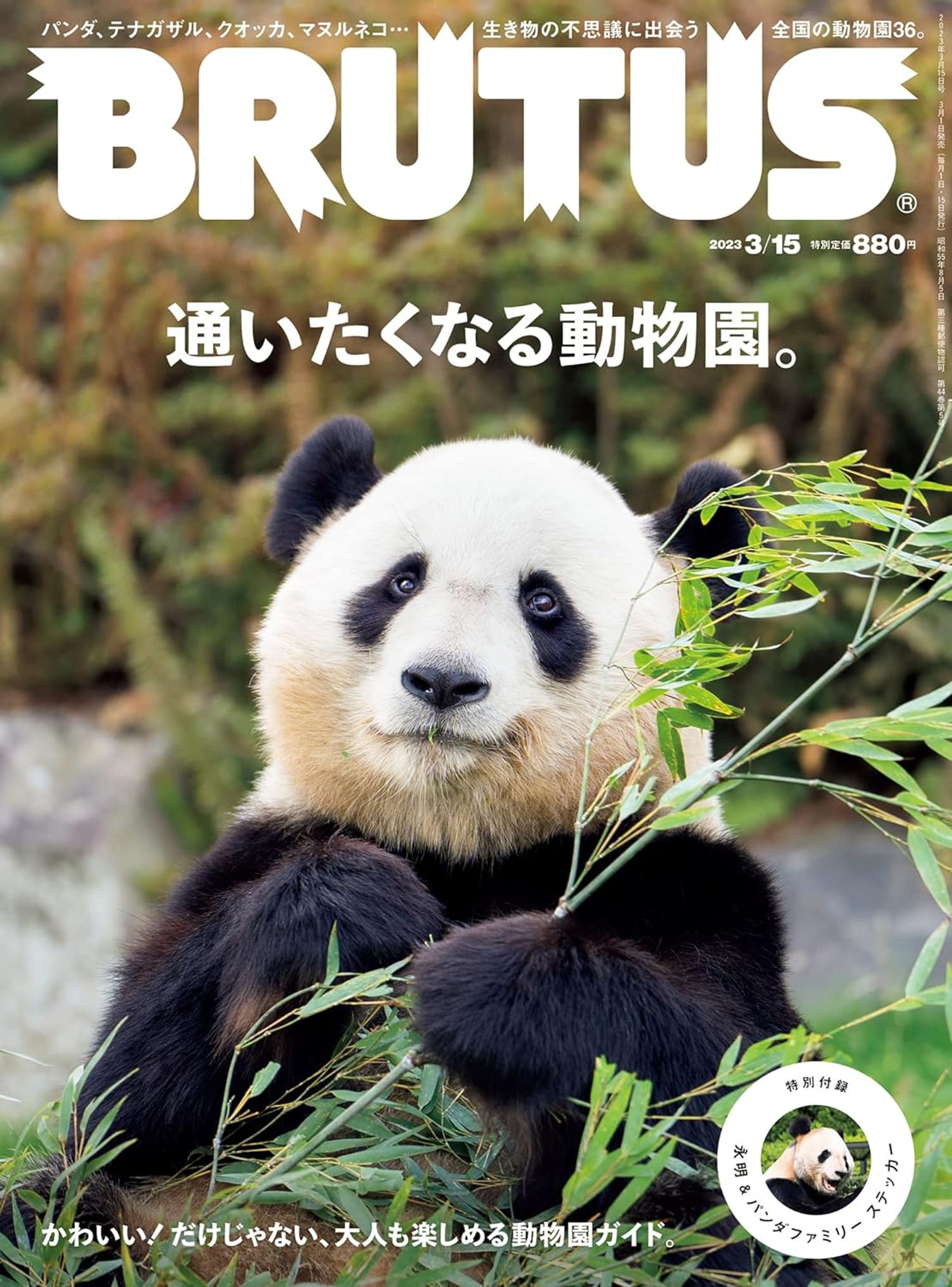 BRUTUS(ブルータス) 2023年 3月15日号 -1