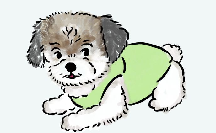 🦴ペットイラスト🦴