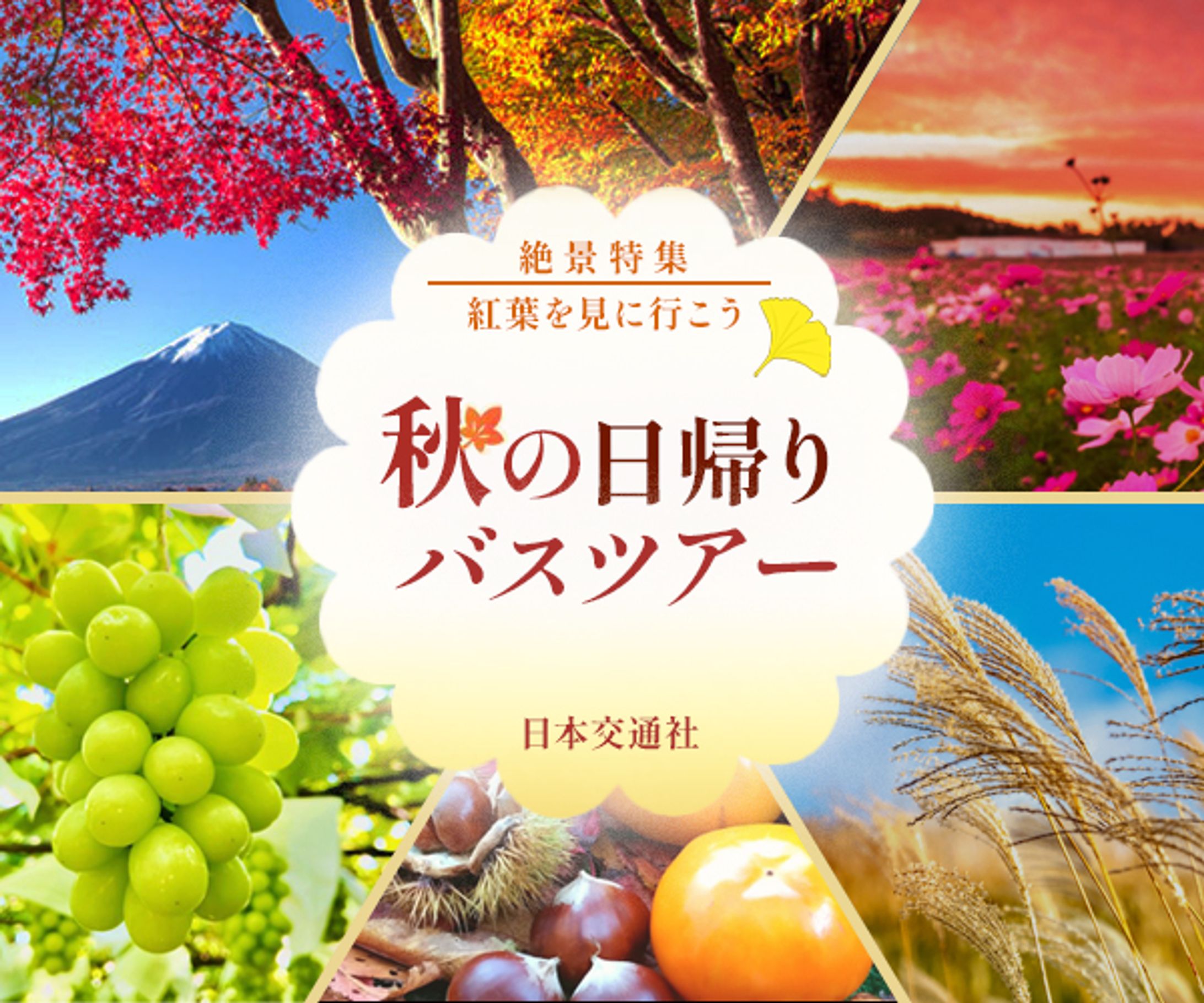 バナー　秋のバスツアー-1