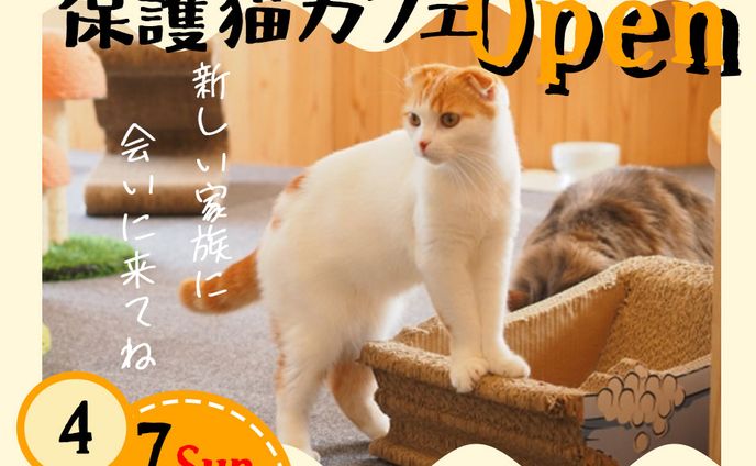 猫カフェOPEN(架空バナー)
