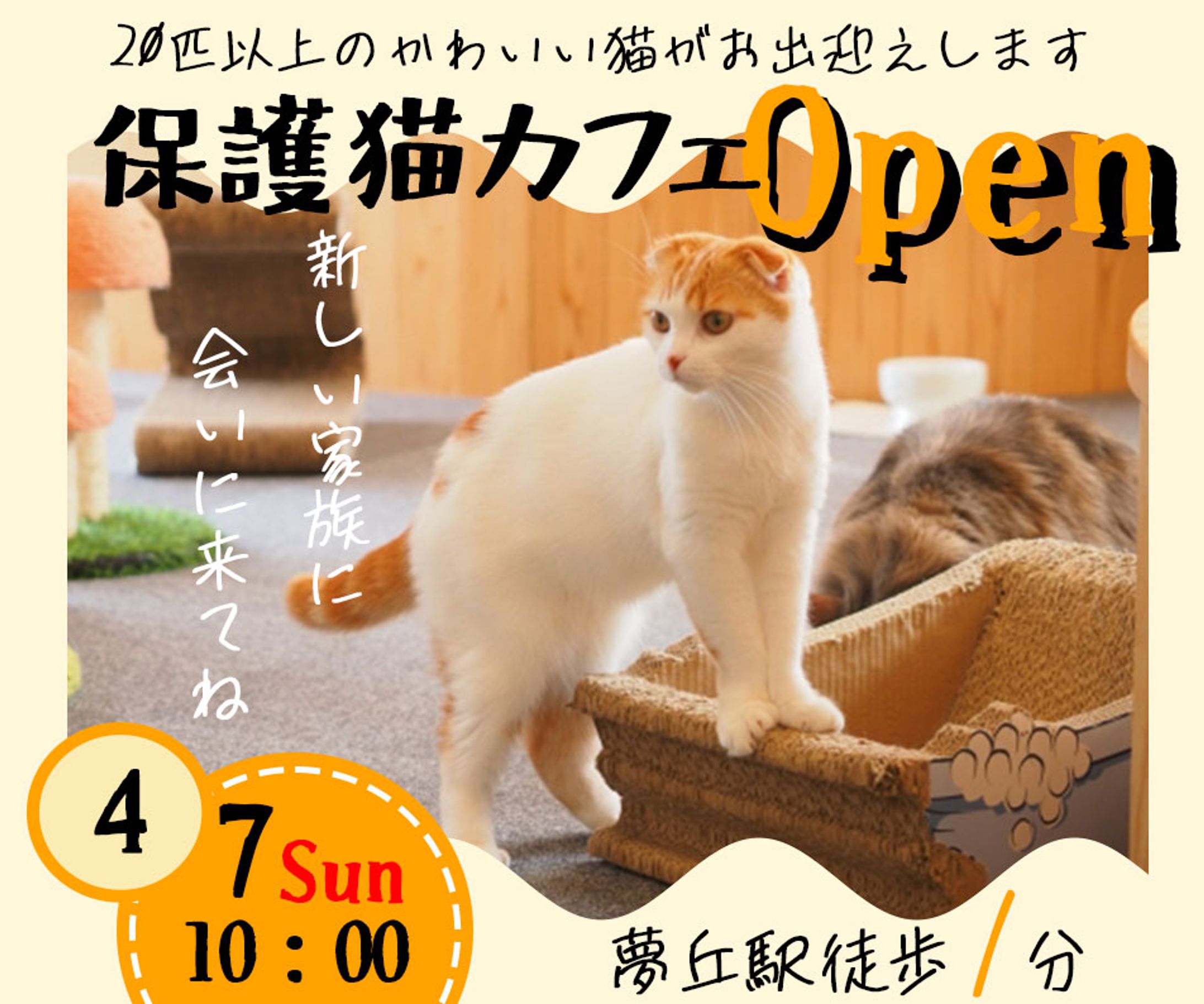 猫カフェOPEN(架空バナー)-1