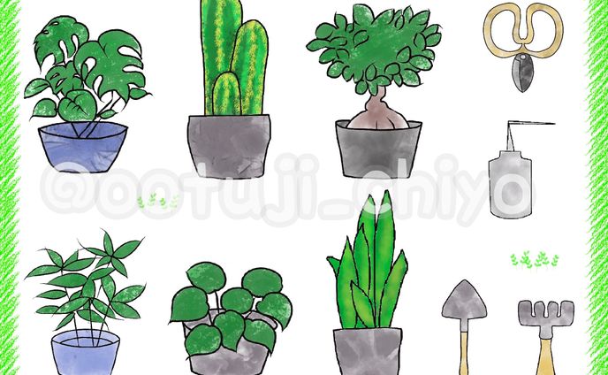 植物 フリー素材