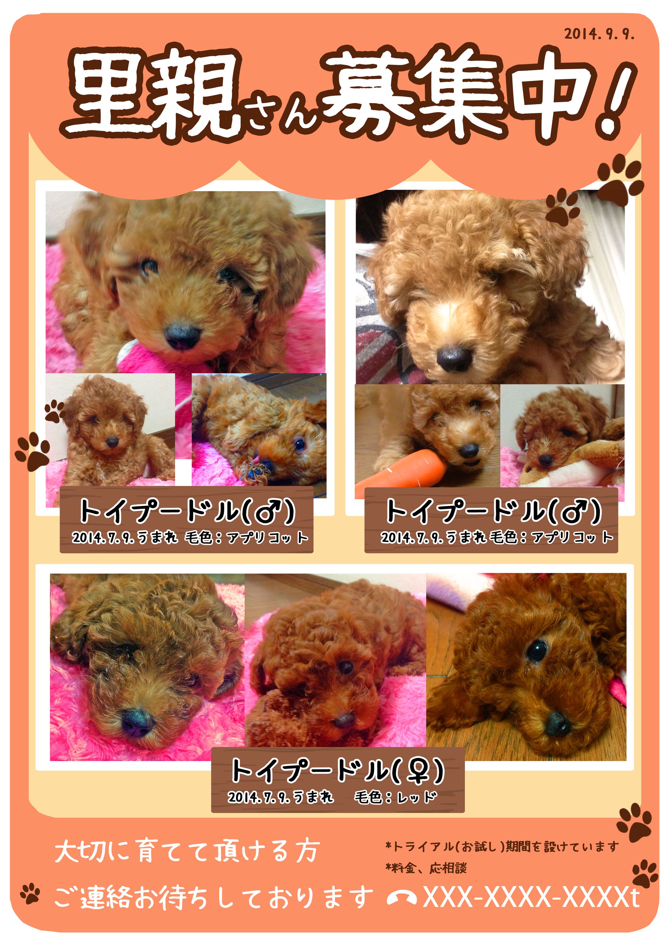 里親募集ポスター-1