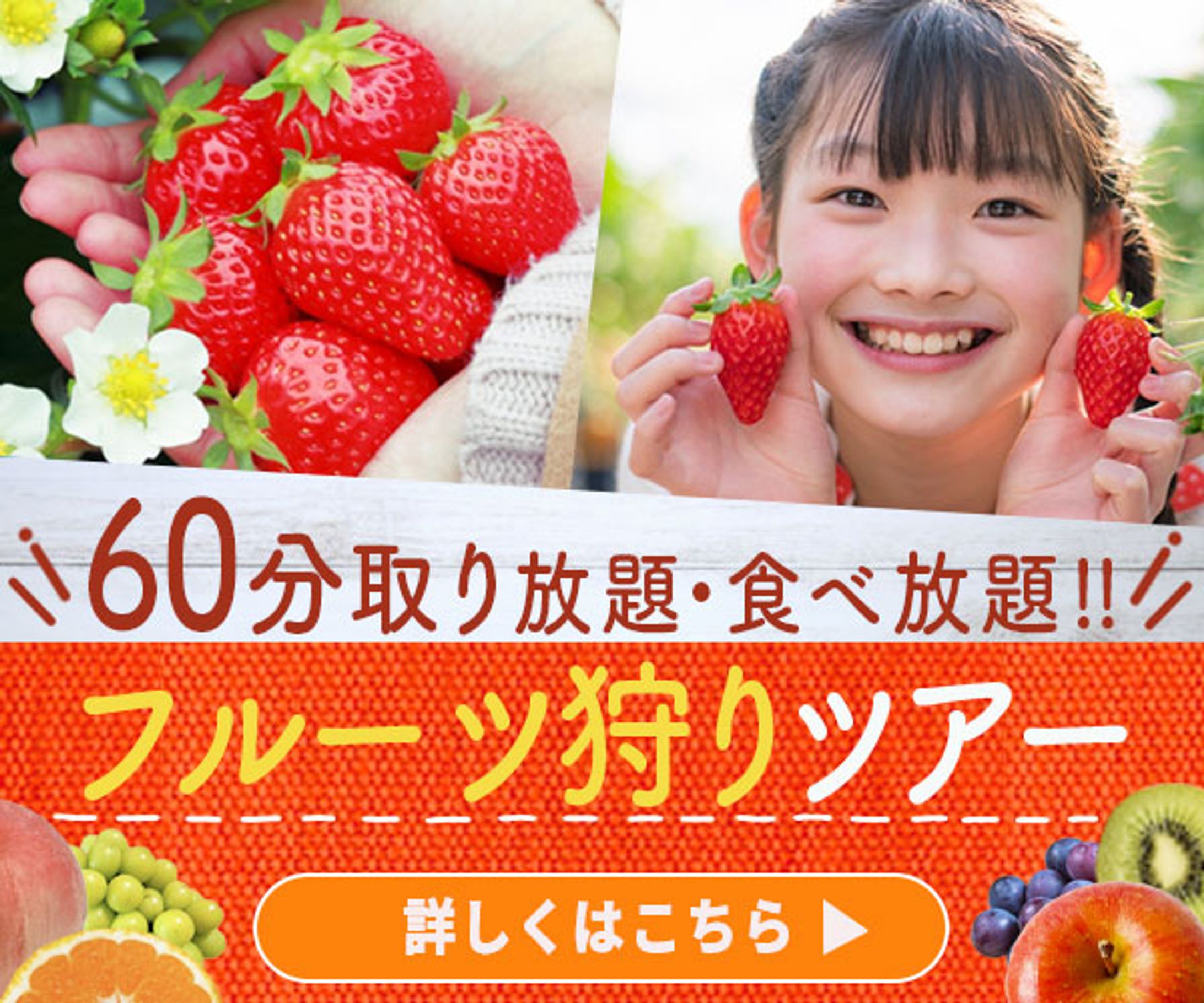 フルーツ狩り_バナー-1