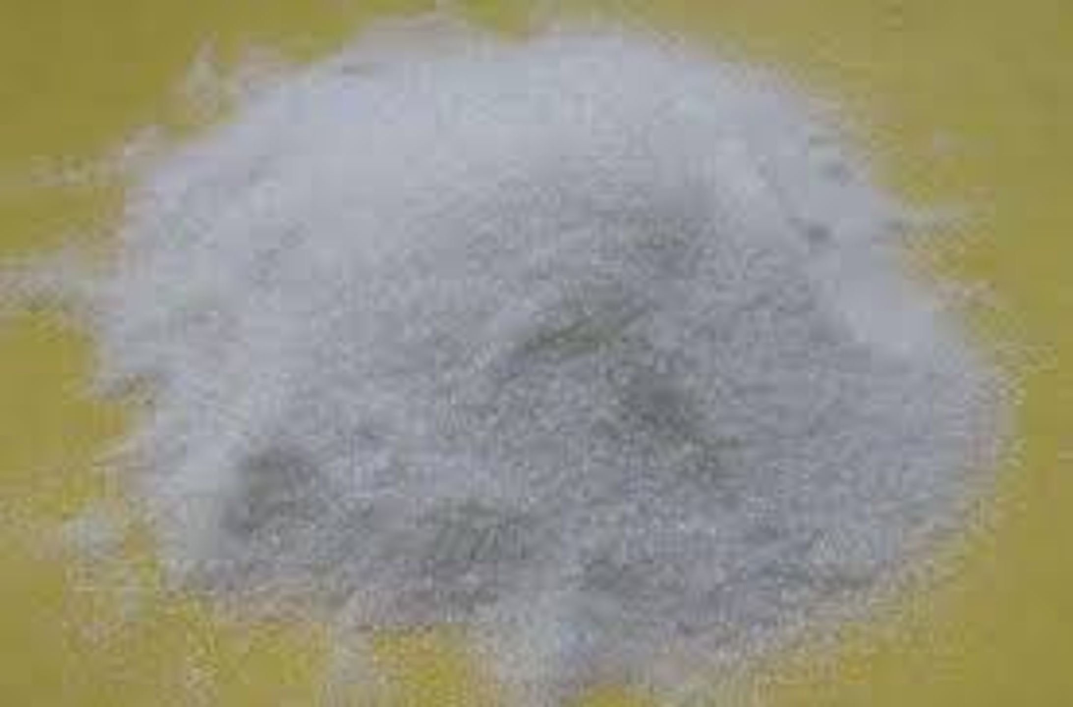 チオ硫酸カリウム肥料の世界市場調査：規模、シェア、成長率（2026-2032年）-1