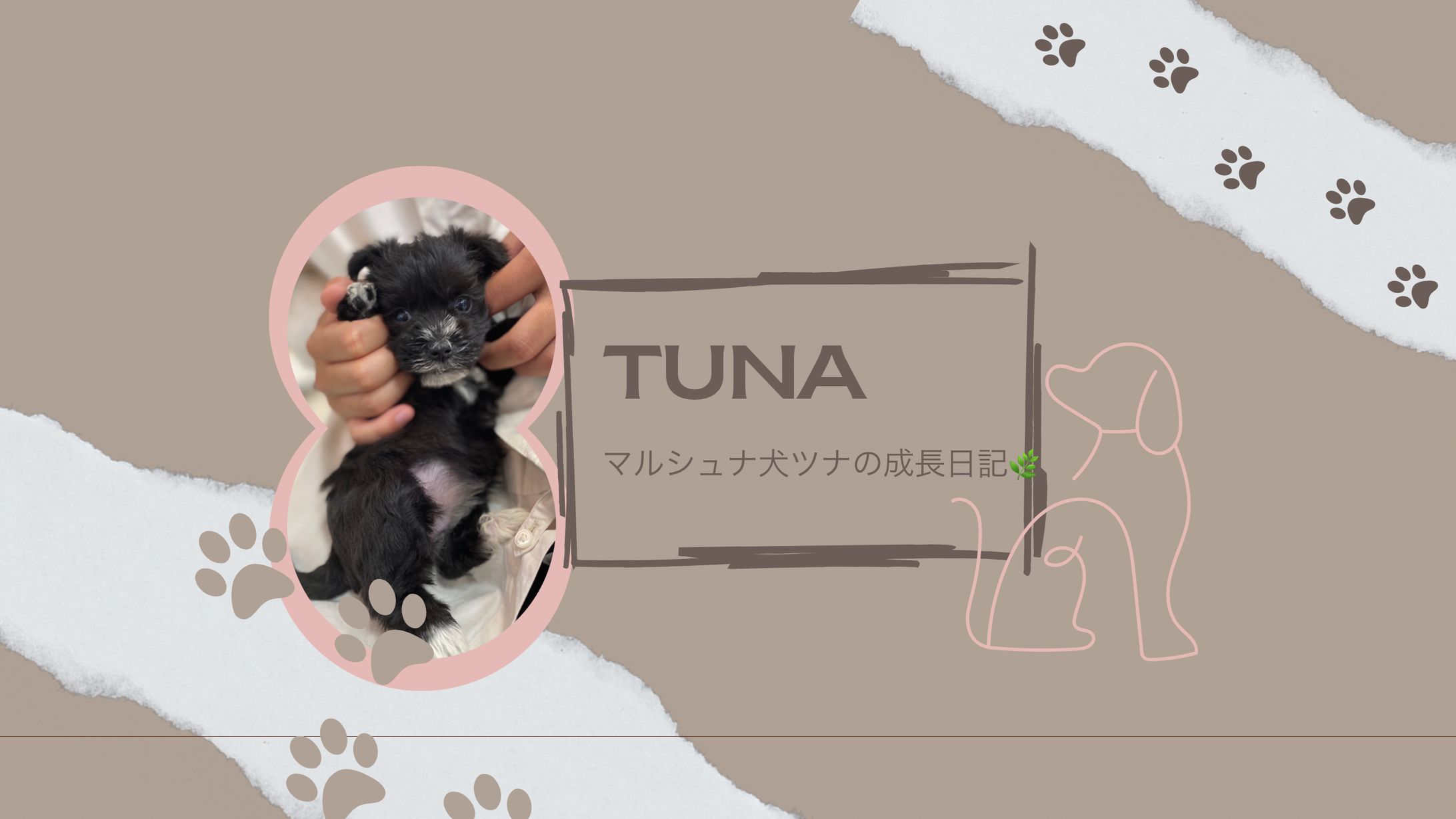 YouTubeチャンネルアート-1