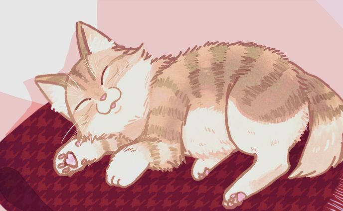 【1枚絵】お昼寝ぽっちゃり猫