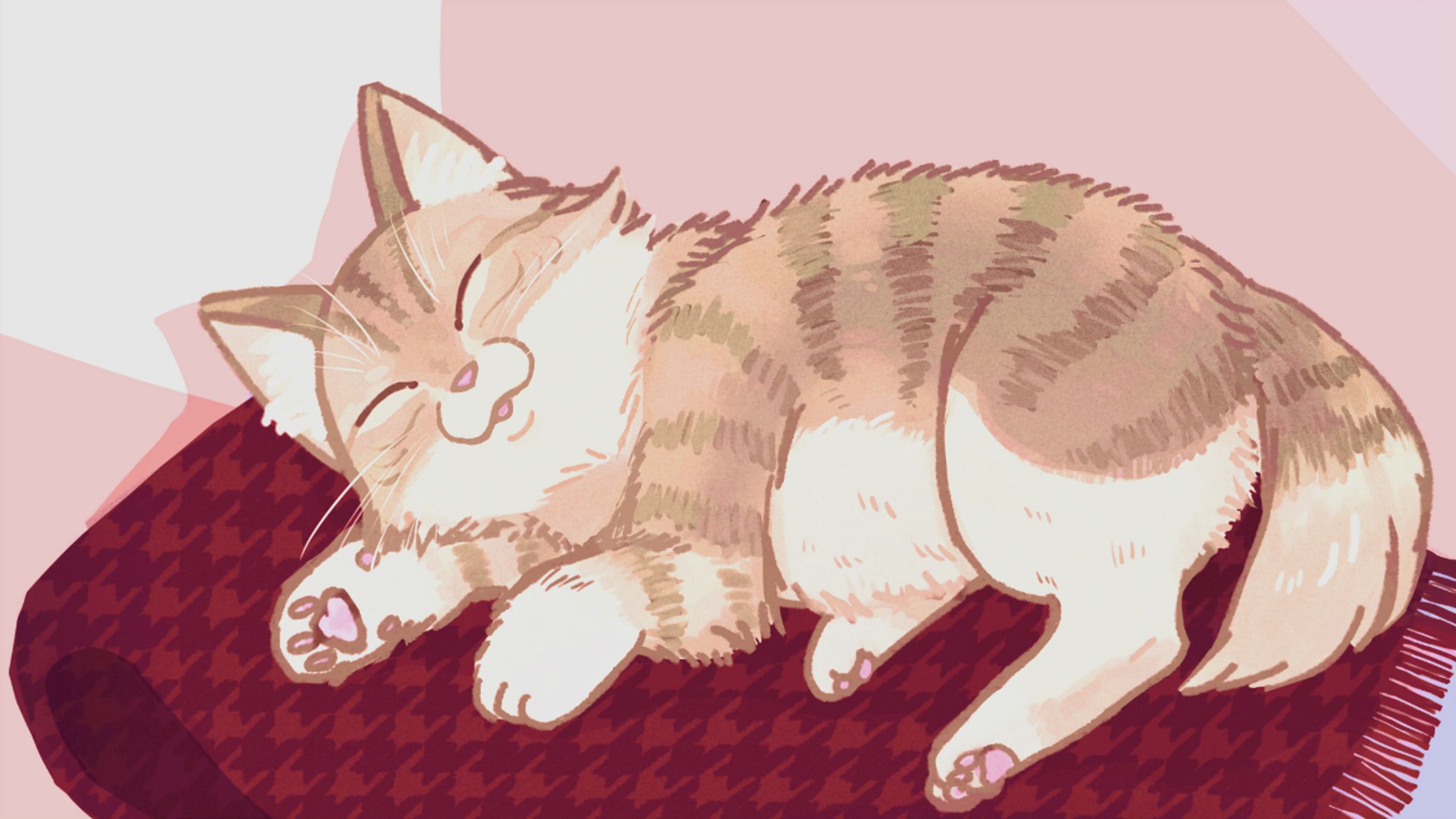 【1枚絵】お昼寝ぽっちゃり猫-1