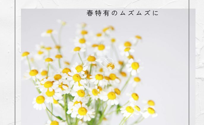 design、紙媒体
