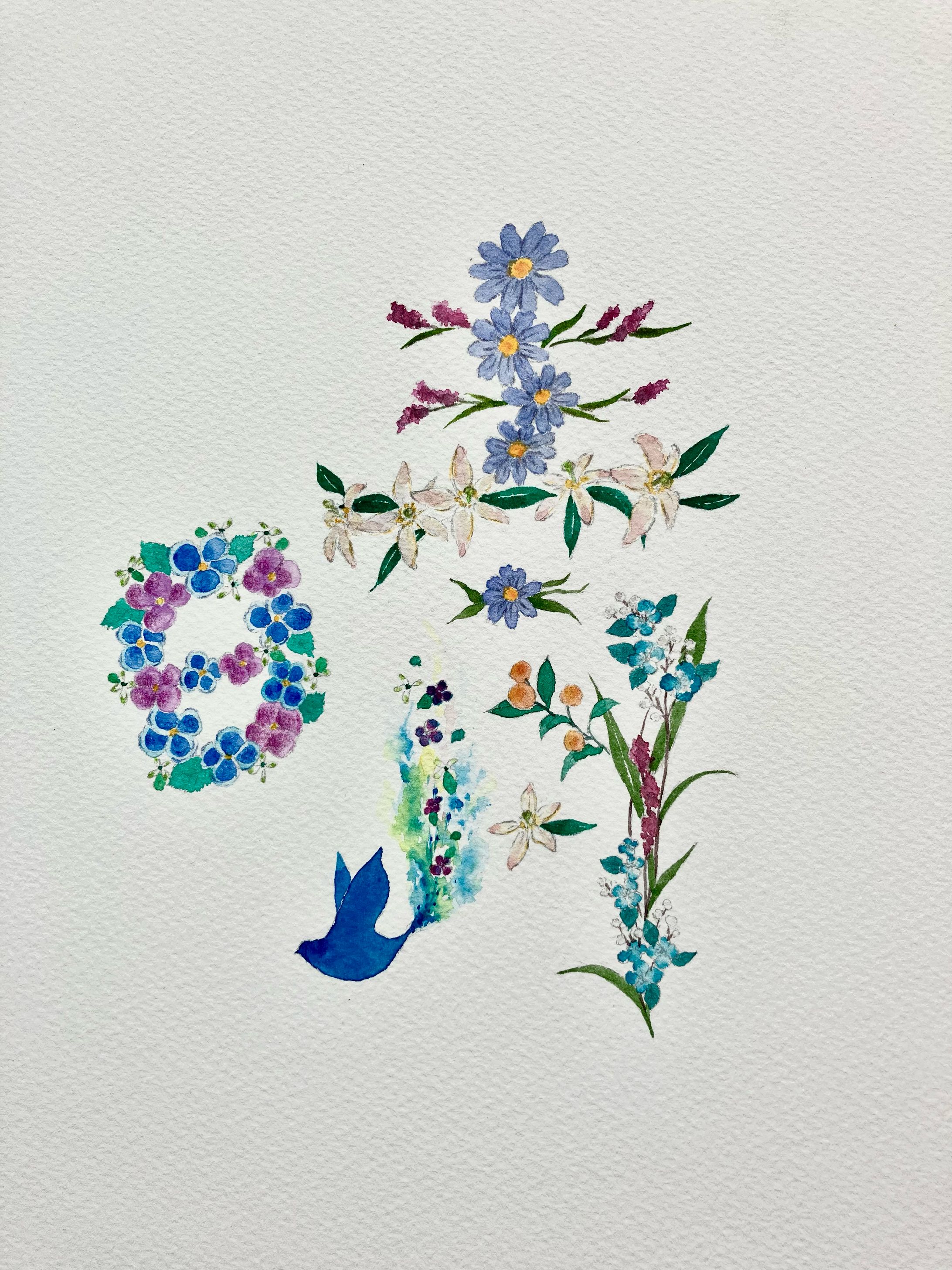 風花の花命画『晴』-1