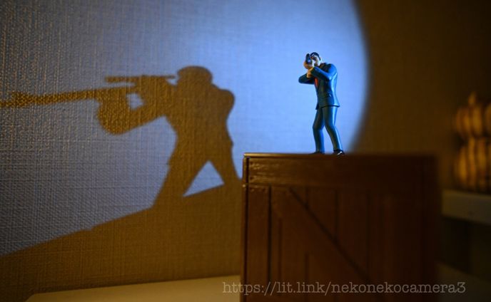 写真、展示