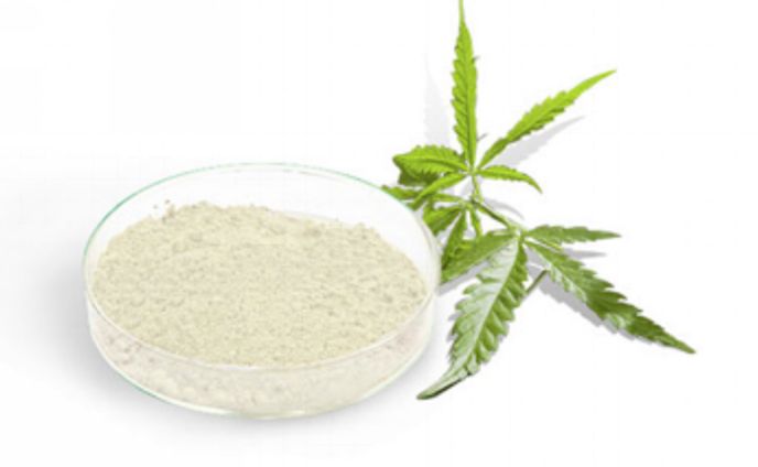 CBD（カンナビジオール）業界競合分析：世界市場規模、成長機会、需要分析、開発動向2024-2030