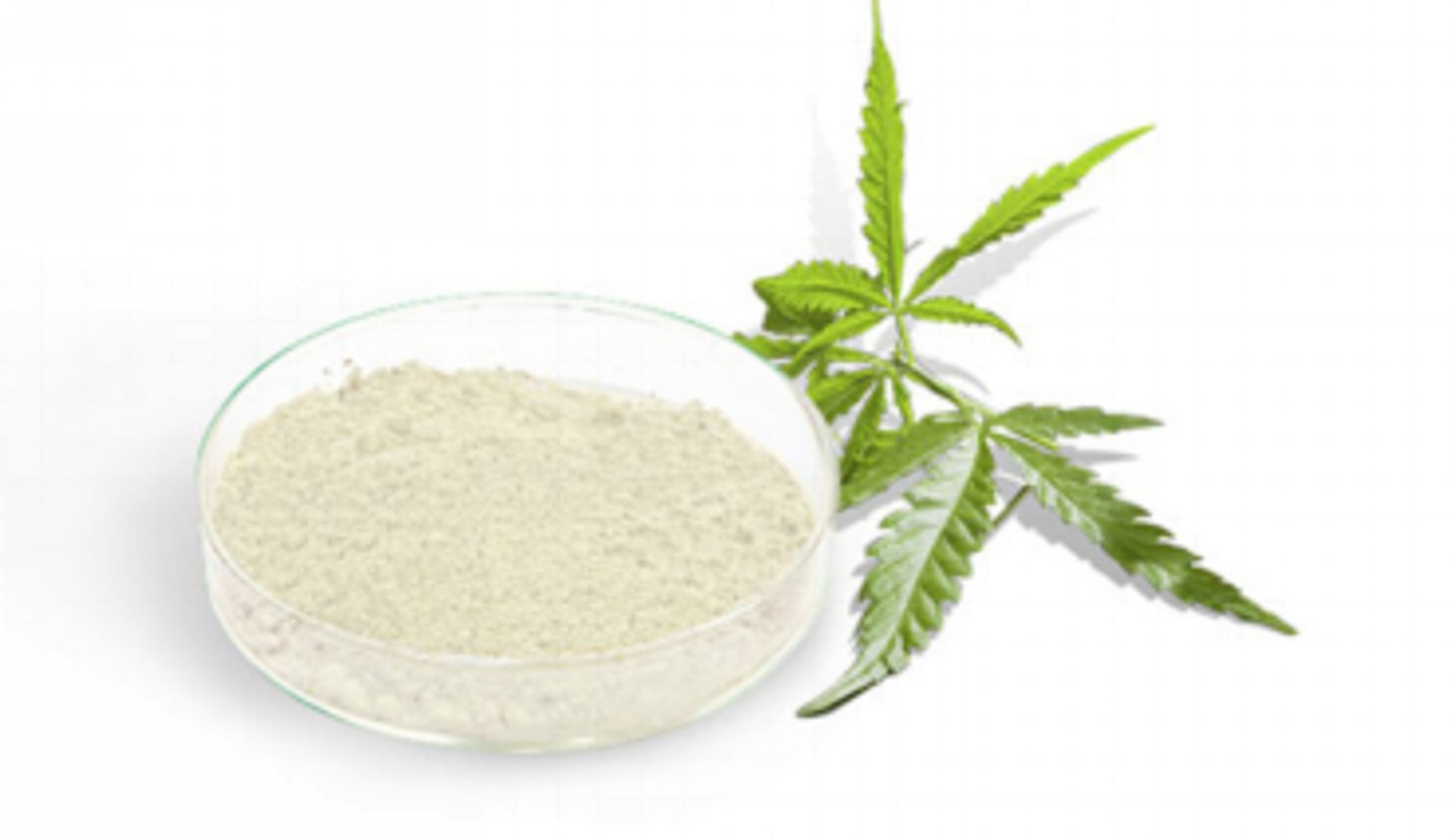 CBD（カンナビジオール）業界競合分析：世界市場規模、成長機会、需要分析、開発動向2024-2030-1