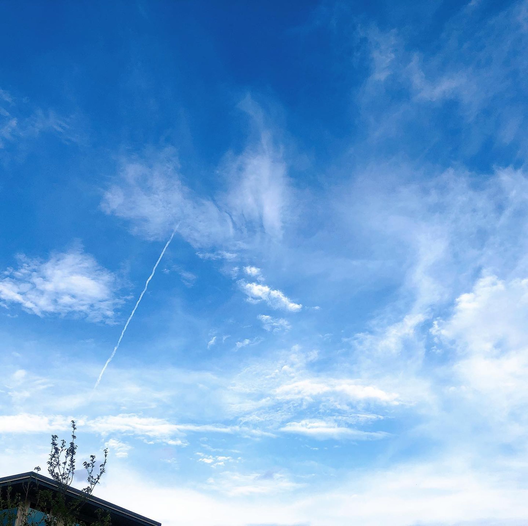 意図負う意思

#sky#青空#空#そらふぉと#bluesky-1