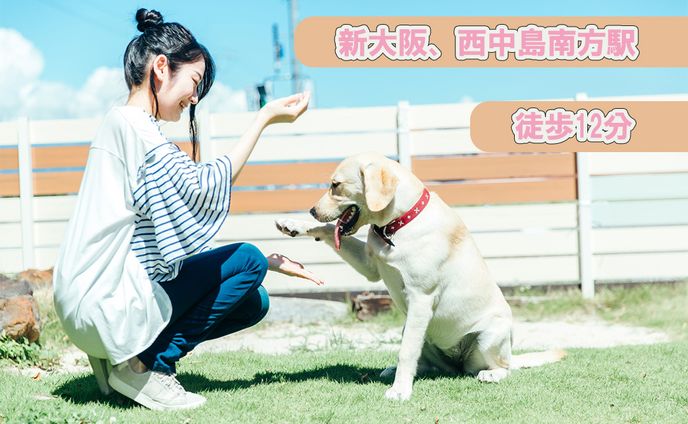 新大阪の犬の幼稚園のクリエイティブ