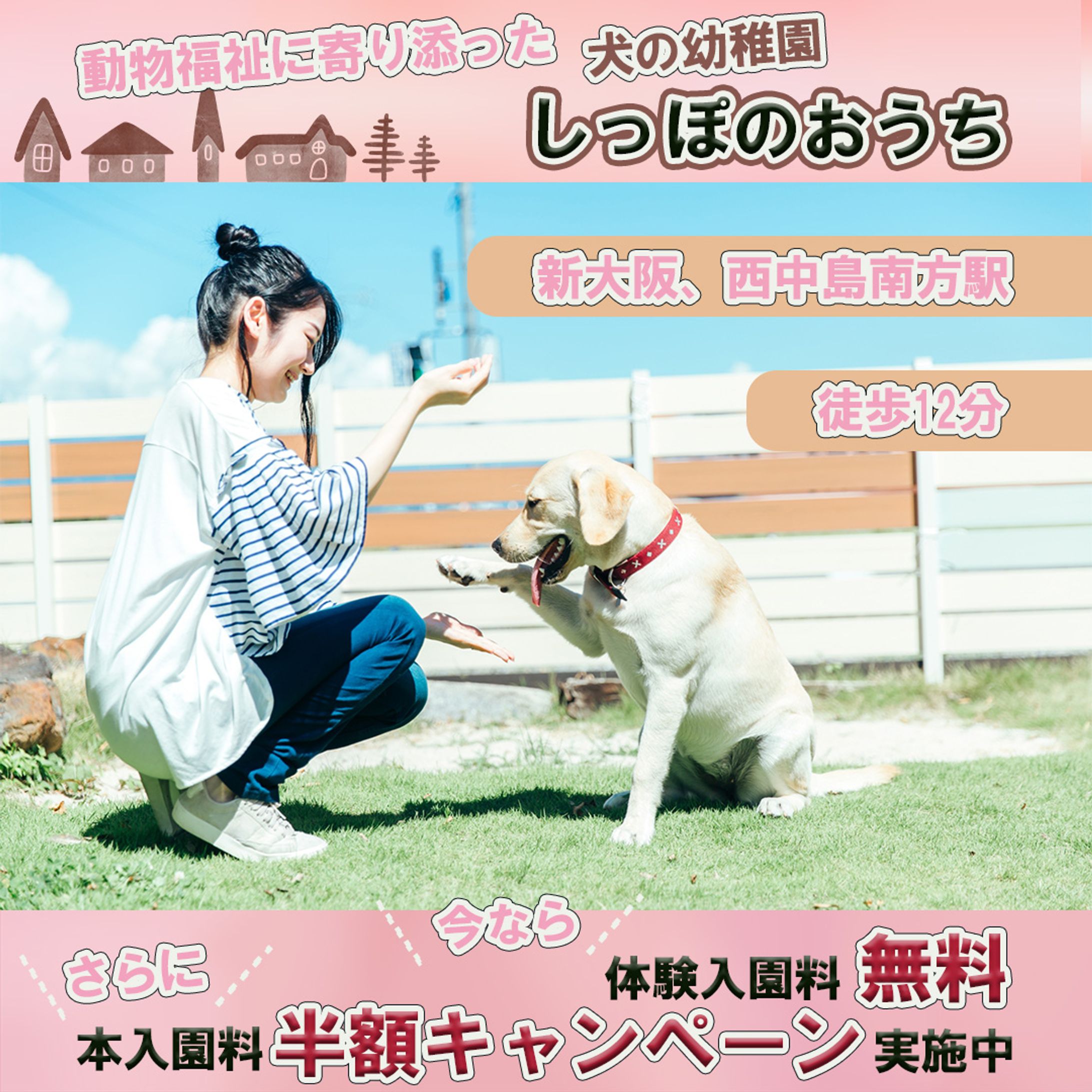 新大阪の犬の幼稚園のクリエイティブ-1