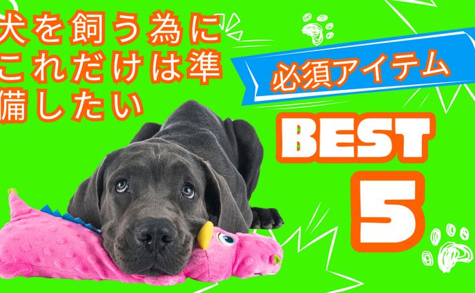 YouTubeサムネイル0424