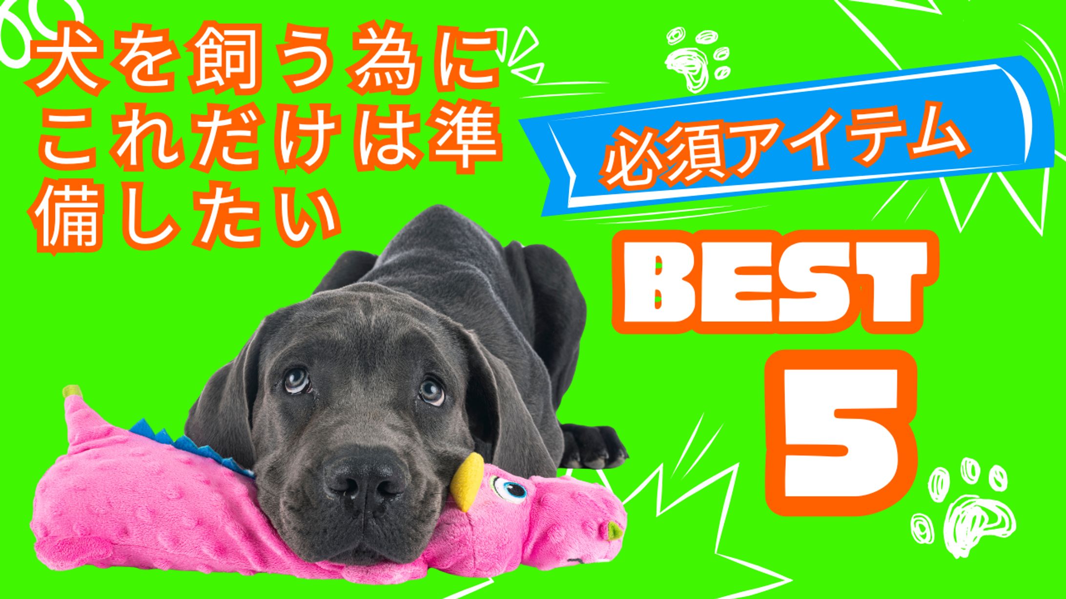 YouTubeサムネイル0424-1