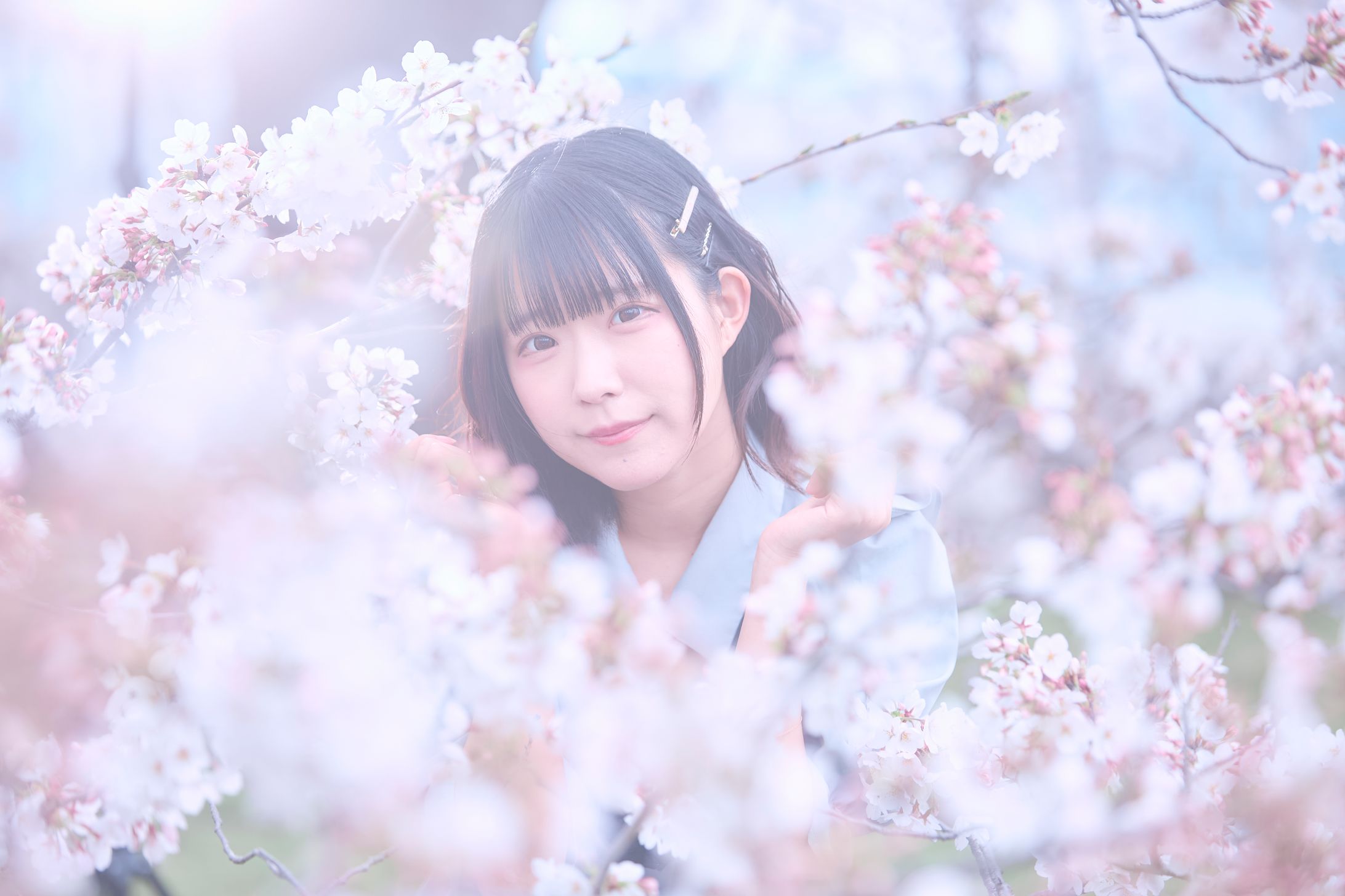 BOY MEETS HARU 春桜ゆめ-1
