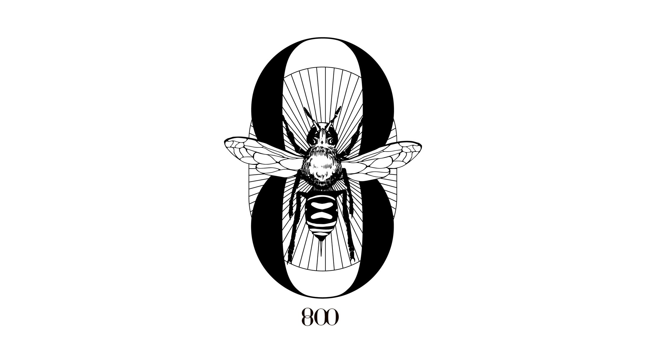 ファッションブランド 8OO-1