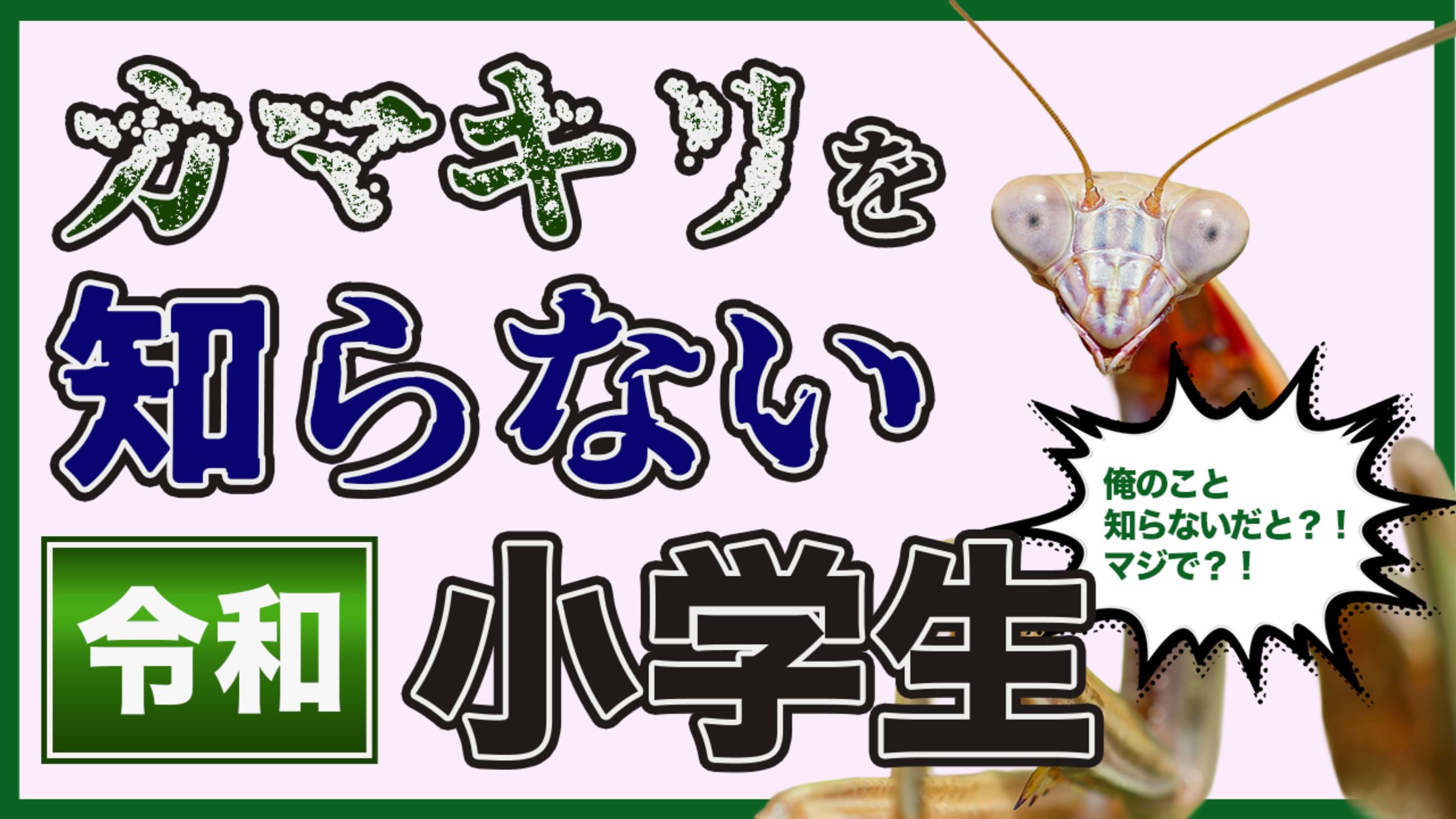 カマキリを知らない小学生５-1