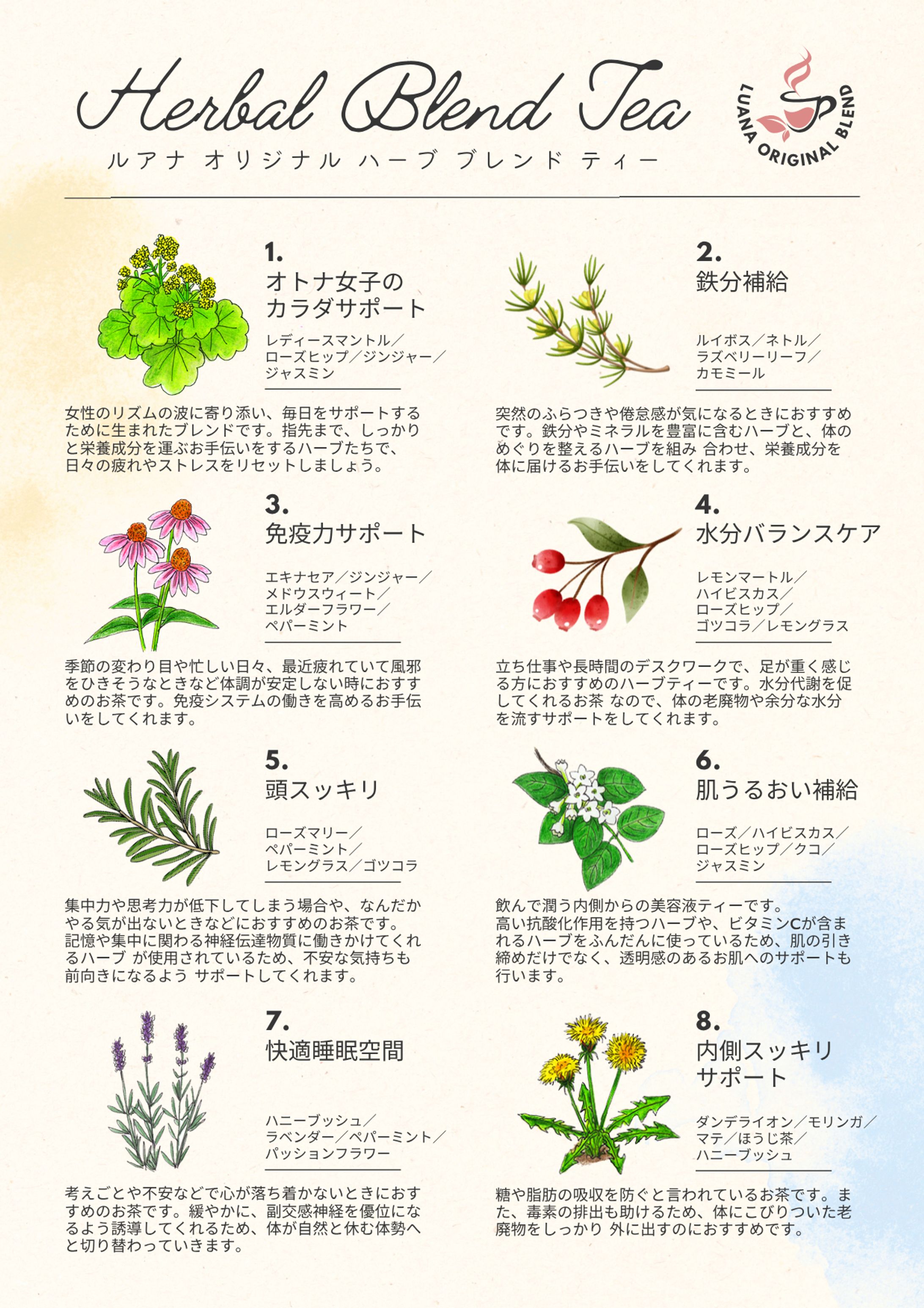 【チラシ】Original Herbal Blend Tea-1