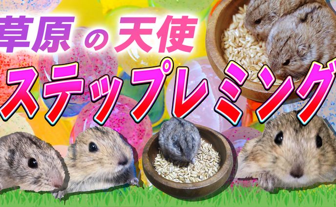 サムネ