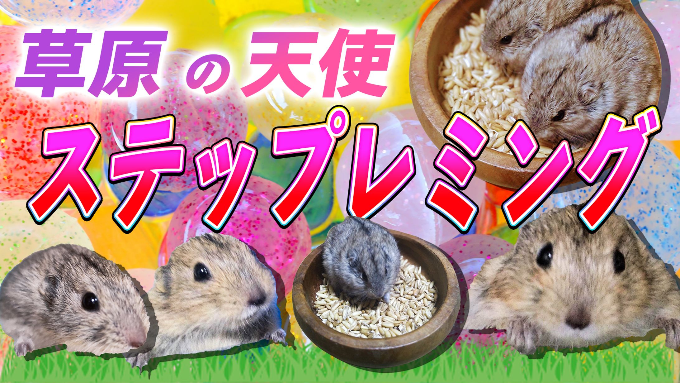 サムネ-1