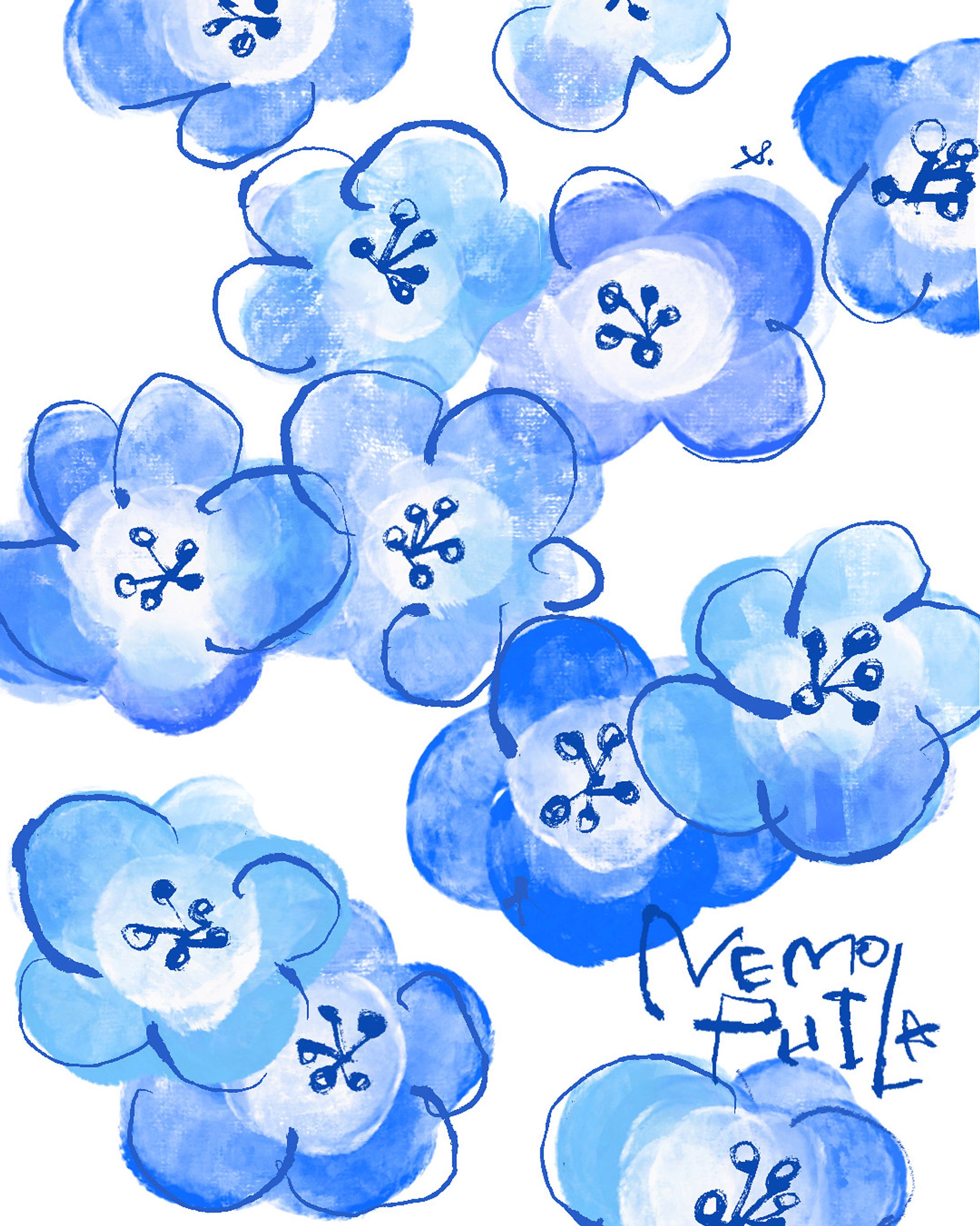nemophila-1