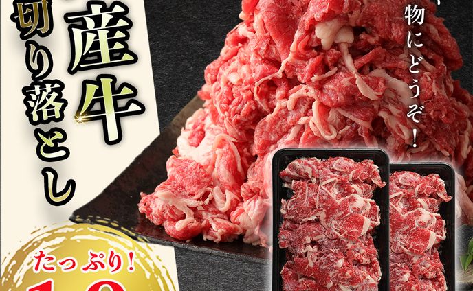 国産牛切り落とし