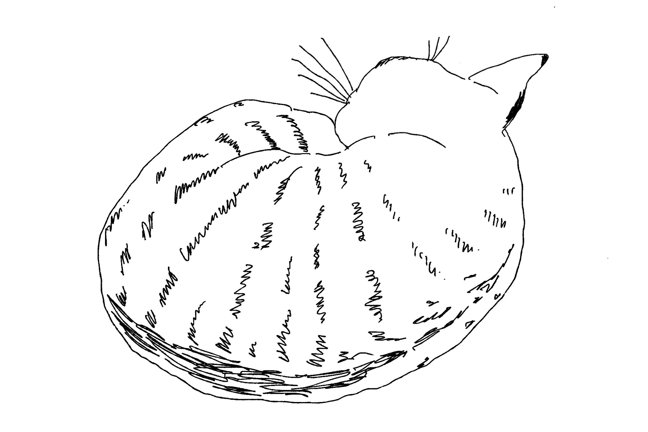 猫の絵⑥線画-1