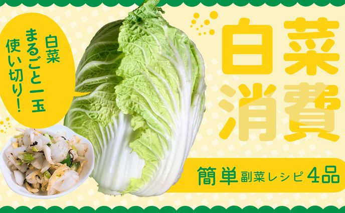白菜消費