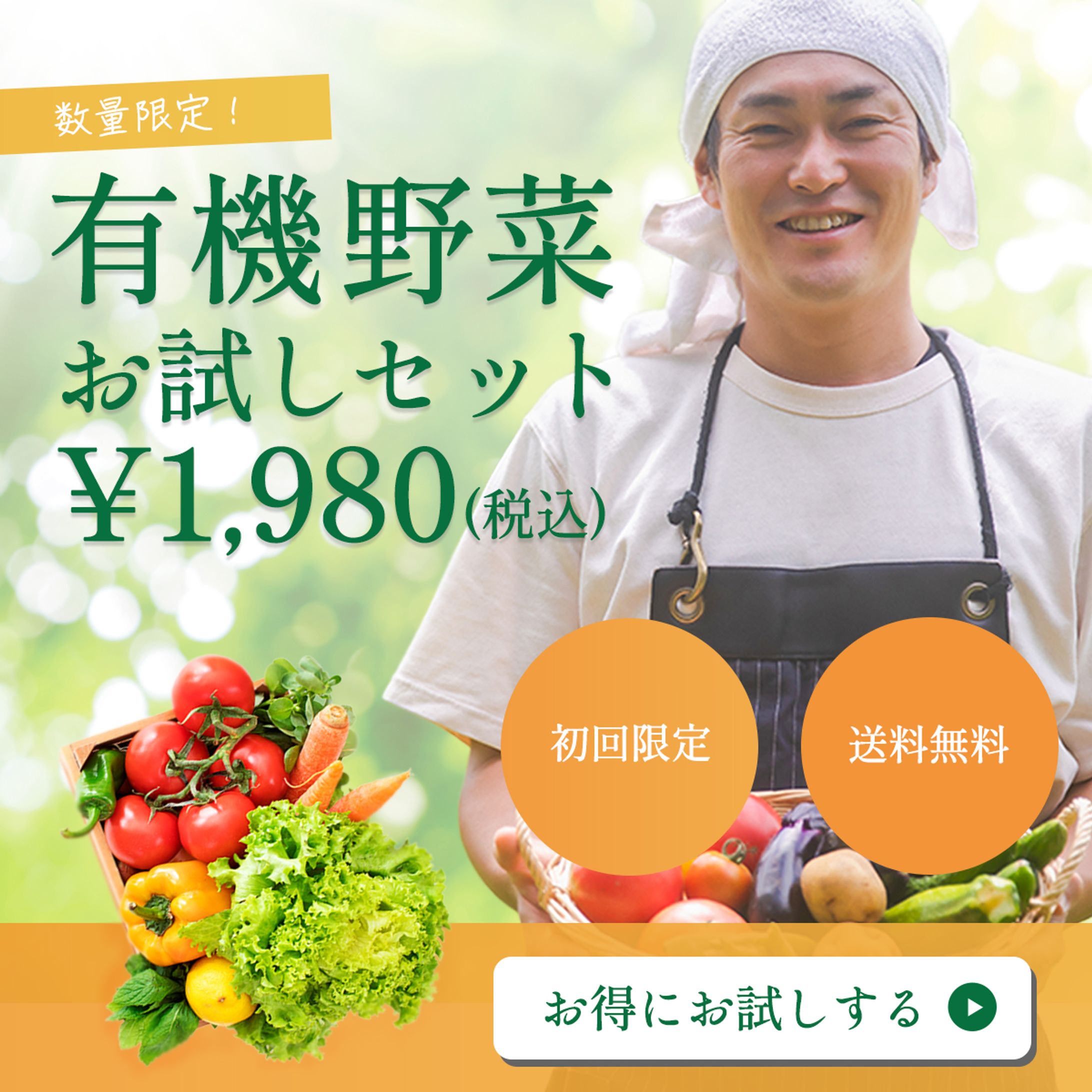 有機野菜お試しセットバナー-1