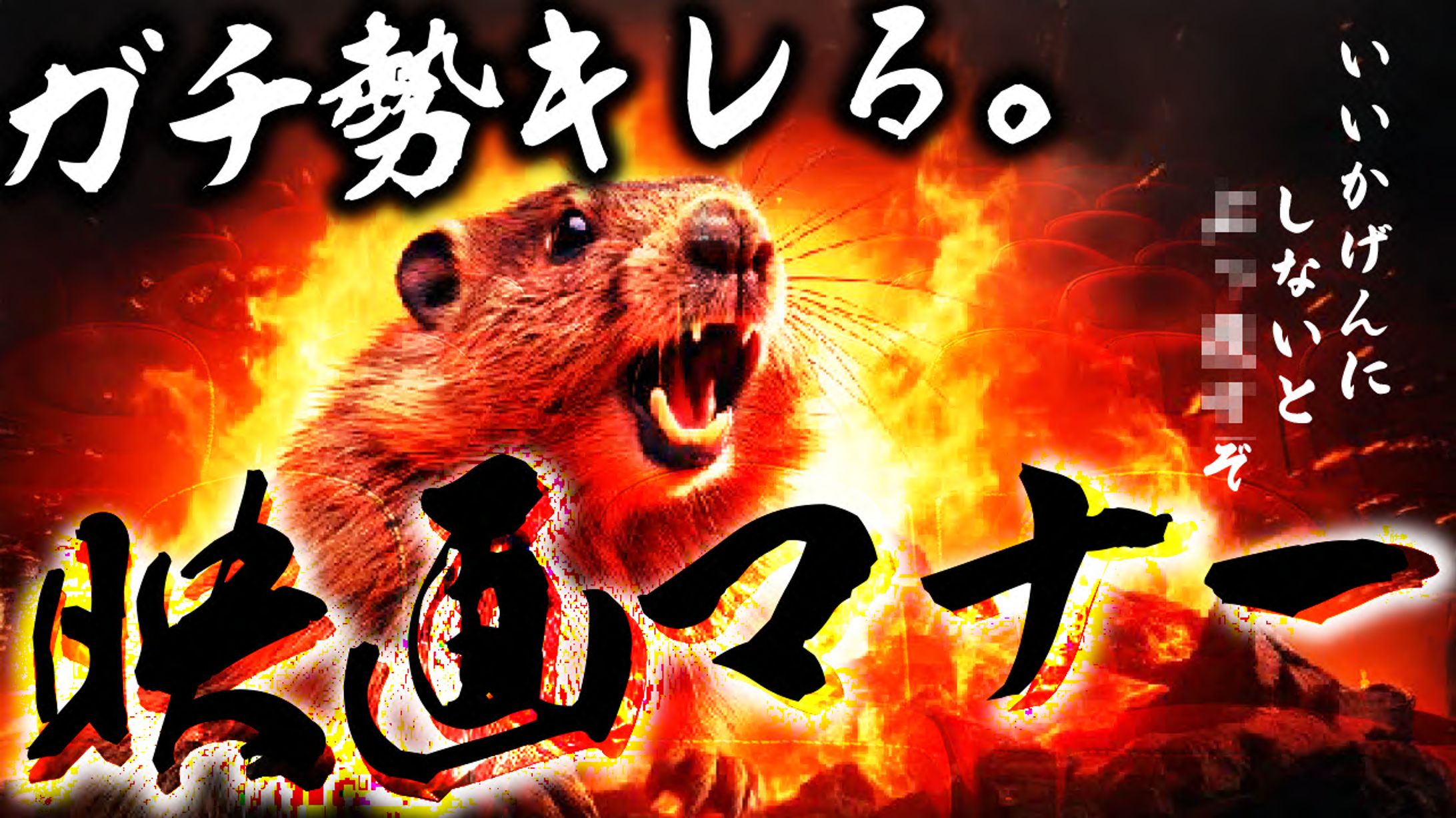 映画番長の部屋-1