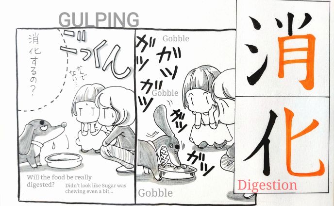 Kanji cards 2